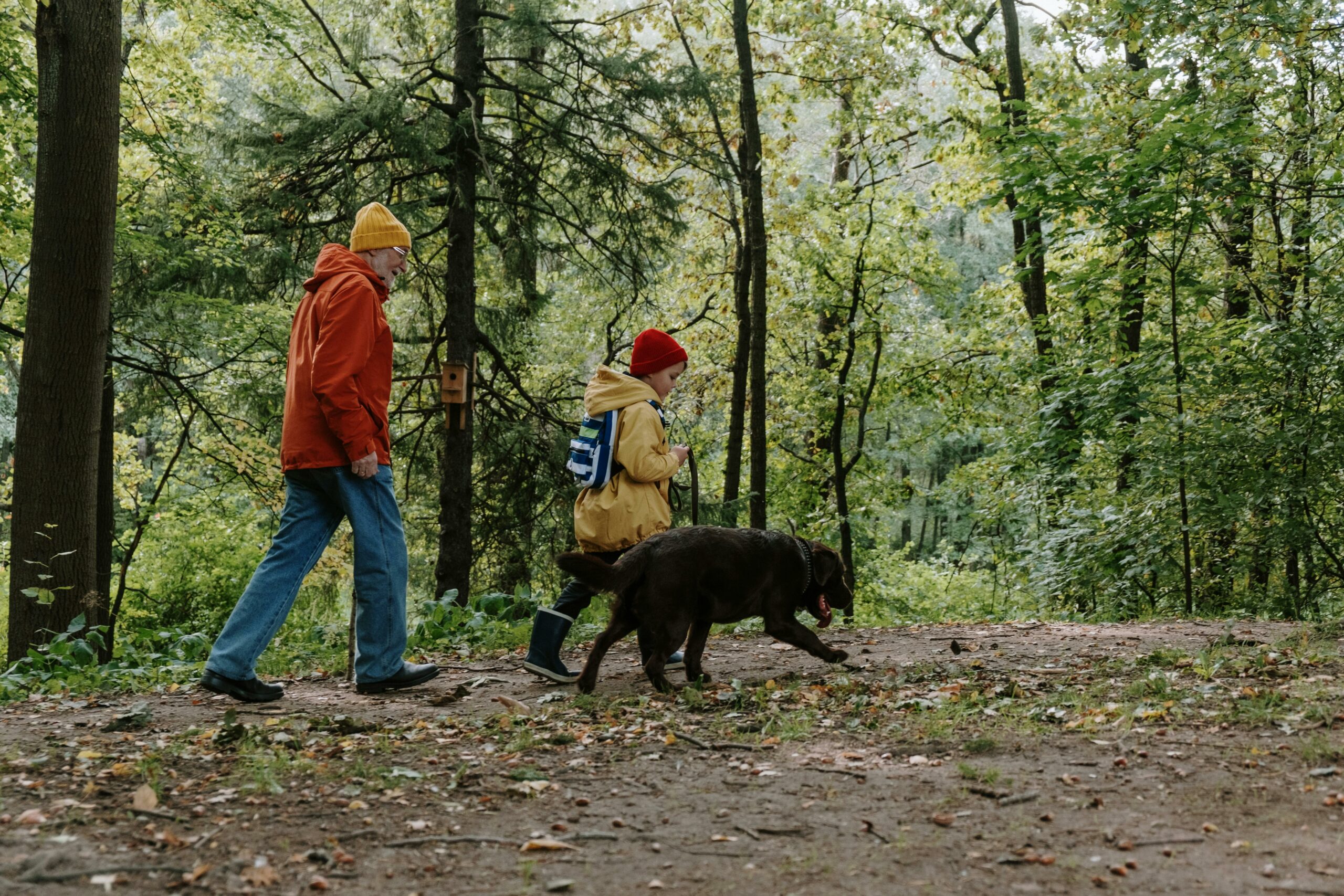 Mann In Der Orangefarbenen Jacke Und In Den Blauen Jeans, Die Mit Dem Schwarzen Kurzen Beschichteten Hund Auf Wald Gehen