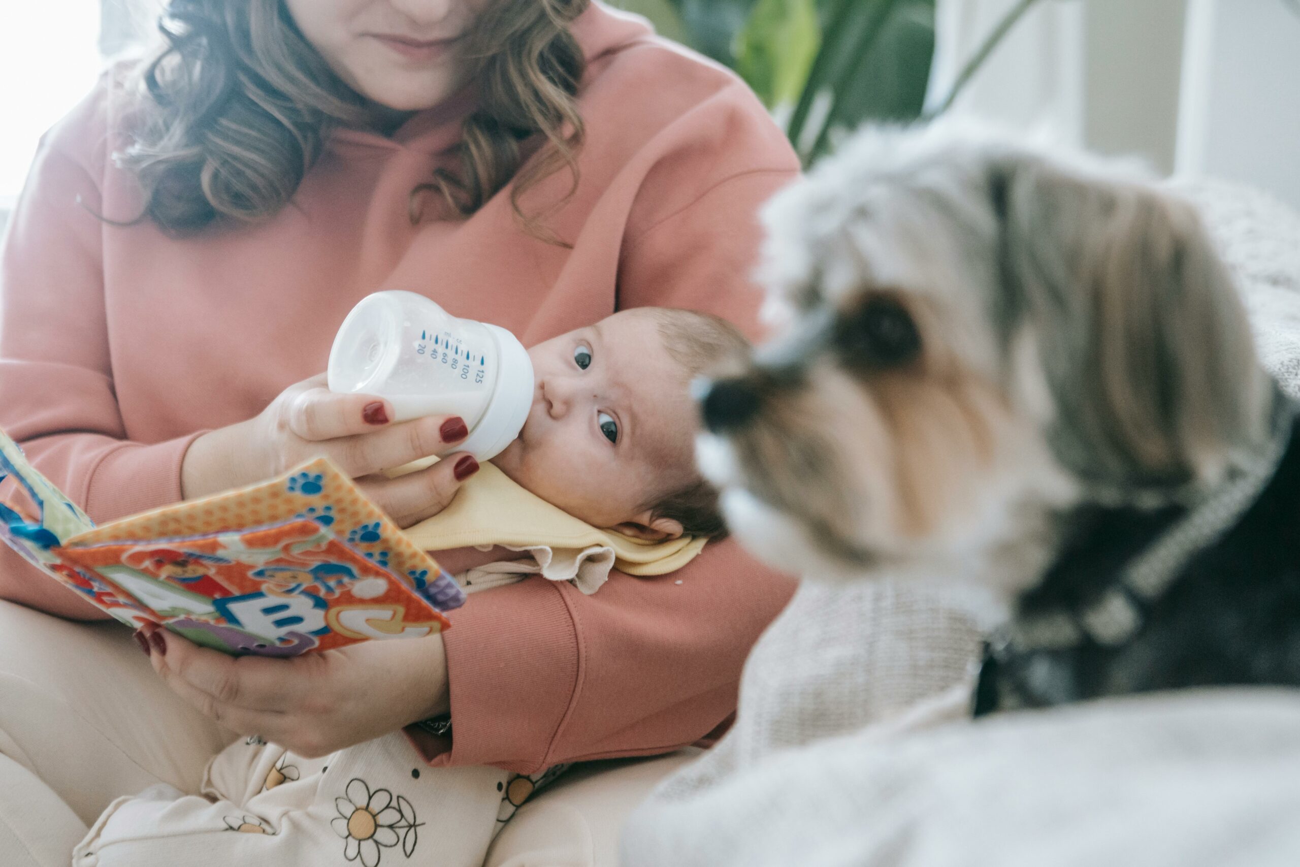 Kostenloses Stock Foto zu #indoor, baby, bindung