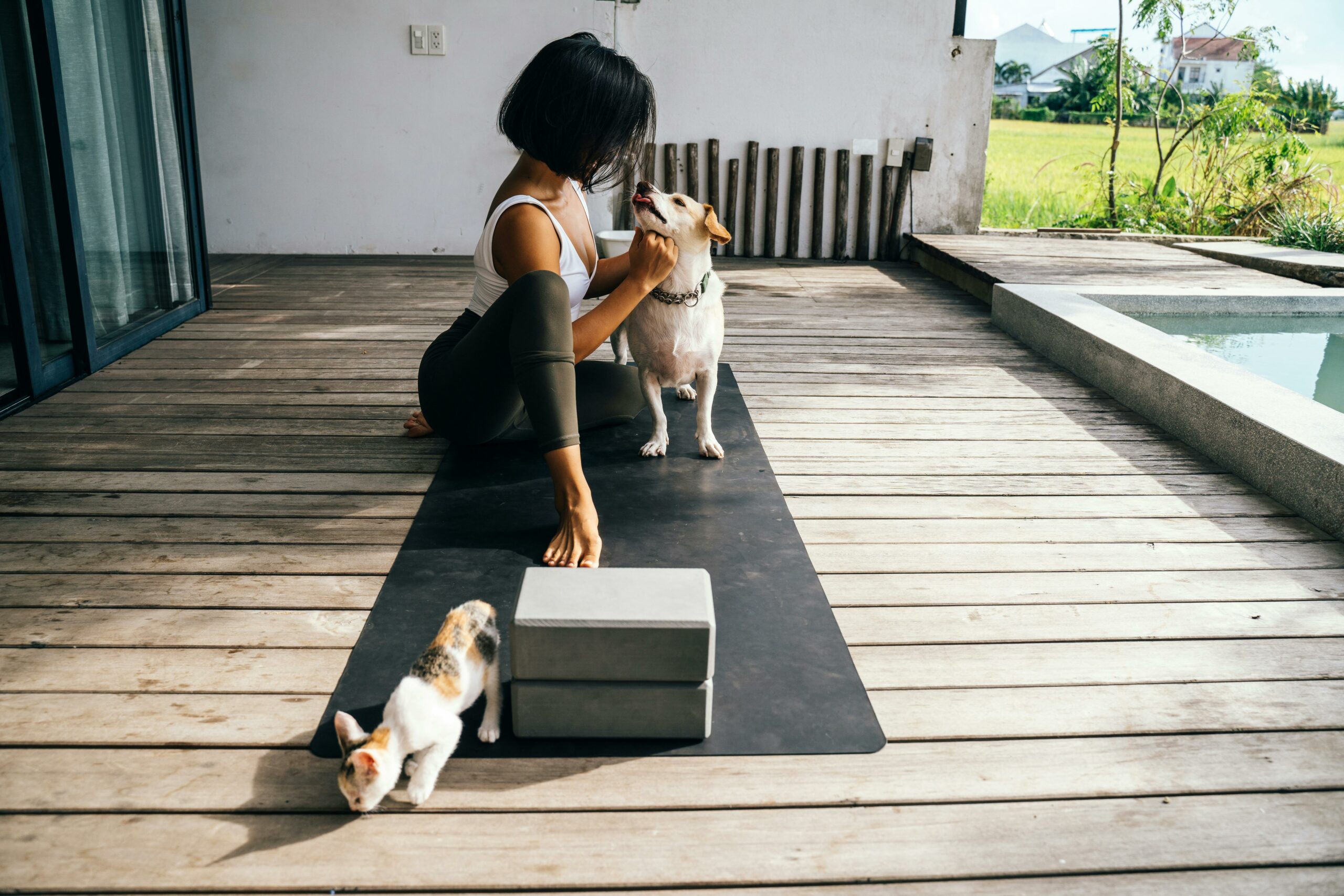 Yoga Mit Flauschigen Freunden