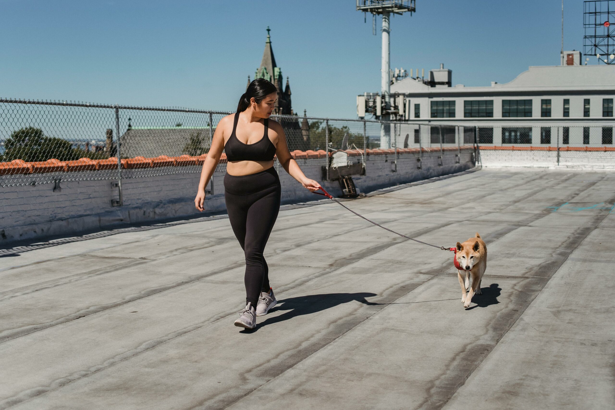 Junge übergewichtige Asiatische Frau, Die Mit Shiba Inu Am Pier Promeniert